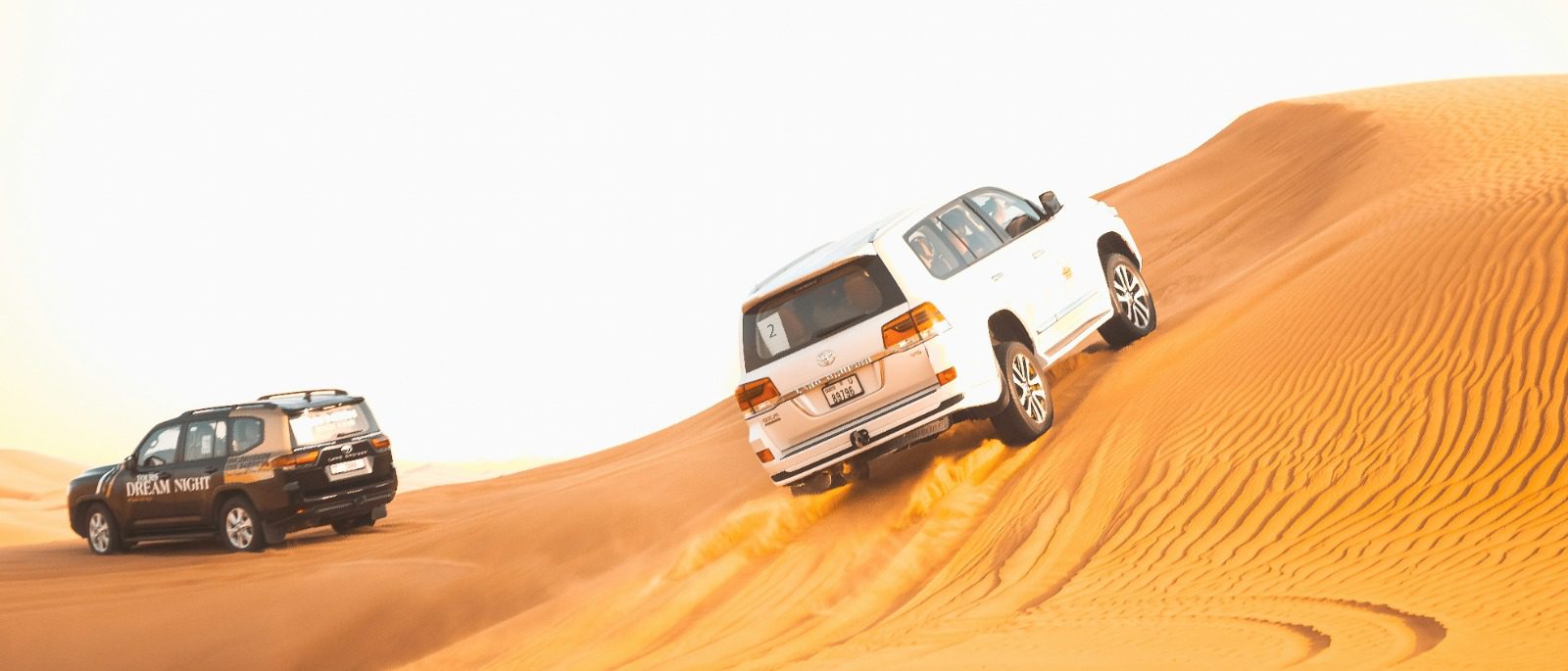 Chauffeur-Driven Tourism: Curated UAE City Tours & Safaris

