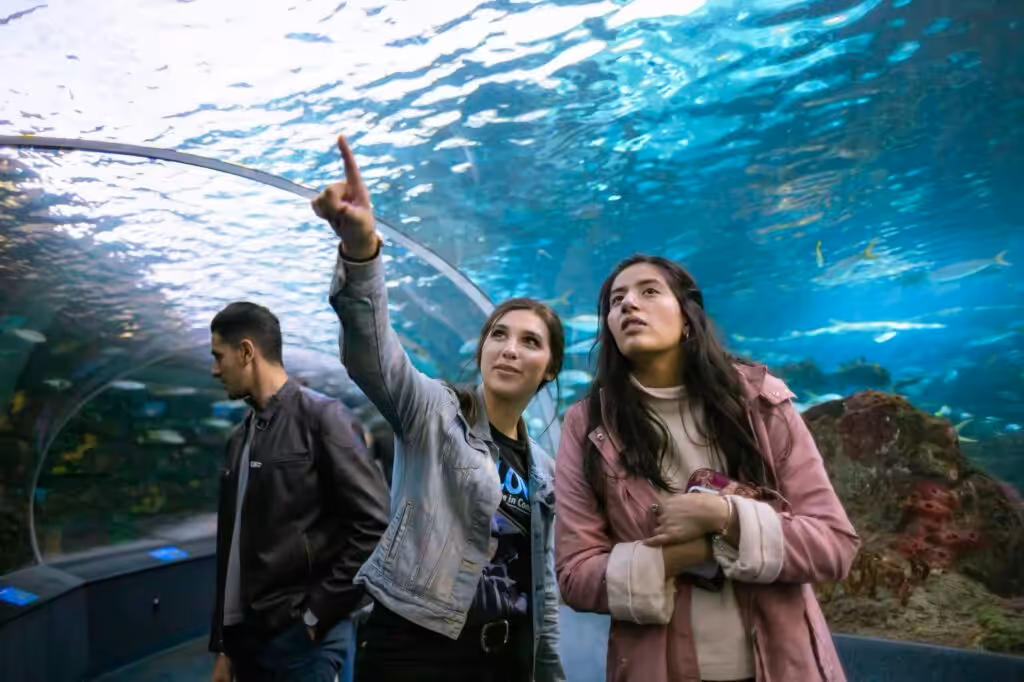 Dubai’s Top Attractions: Explore with Luxury Chauffeur Services