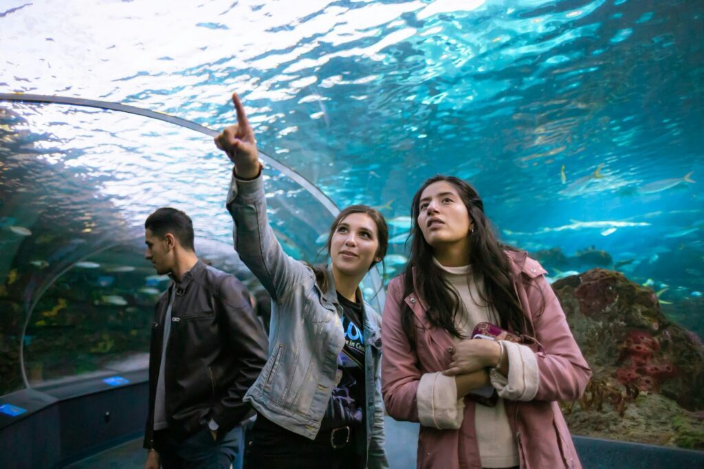 Dubai’s Top Attractions: Explore with Luxury Chauffeur Services