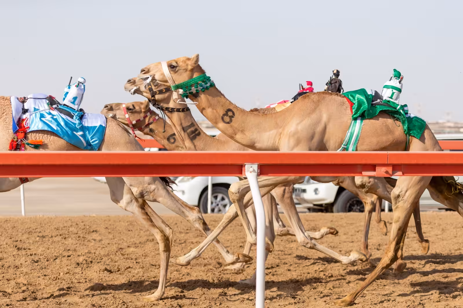 Cultural & Religious Events UAE | 2025-2026 Guide